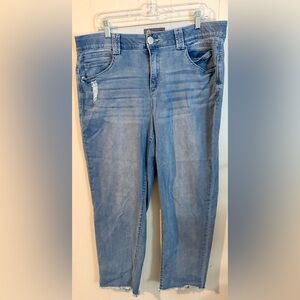 Democracy Ab Technology Ankle Frayed Hem Jeans, Size 18W